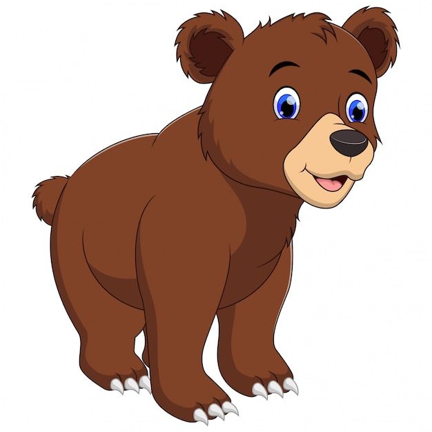 bear (1)